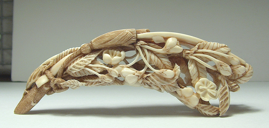 Blossoming Cherry Branch 008